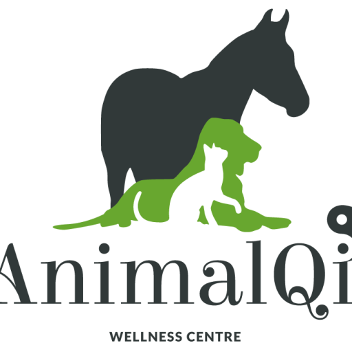 Animal QI Wellness Centre