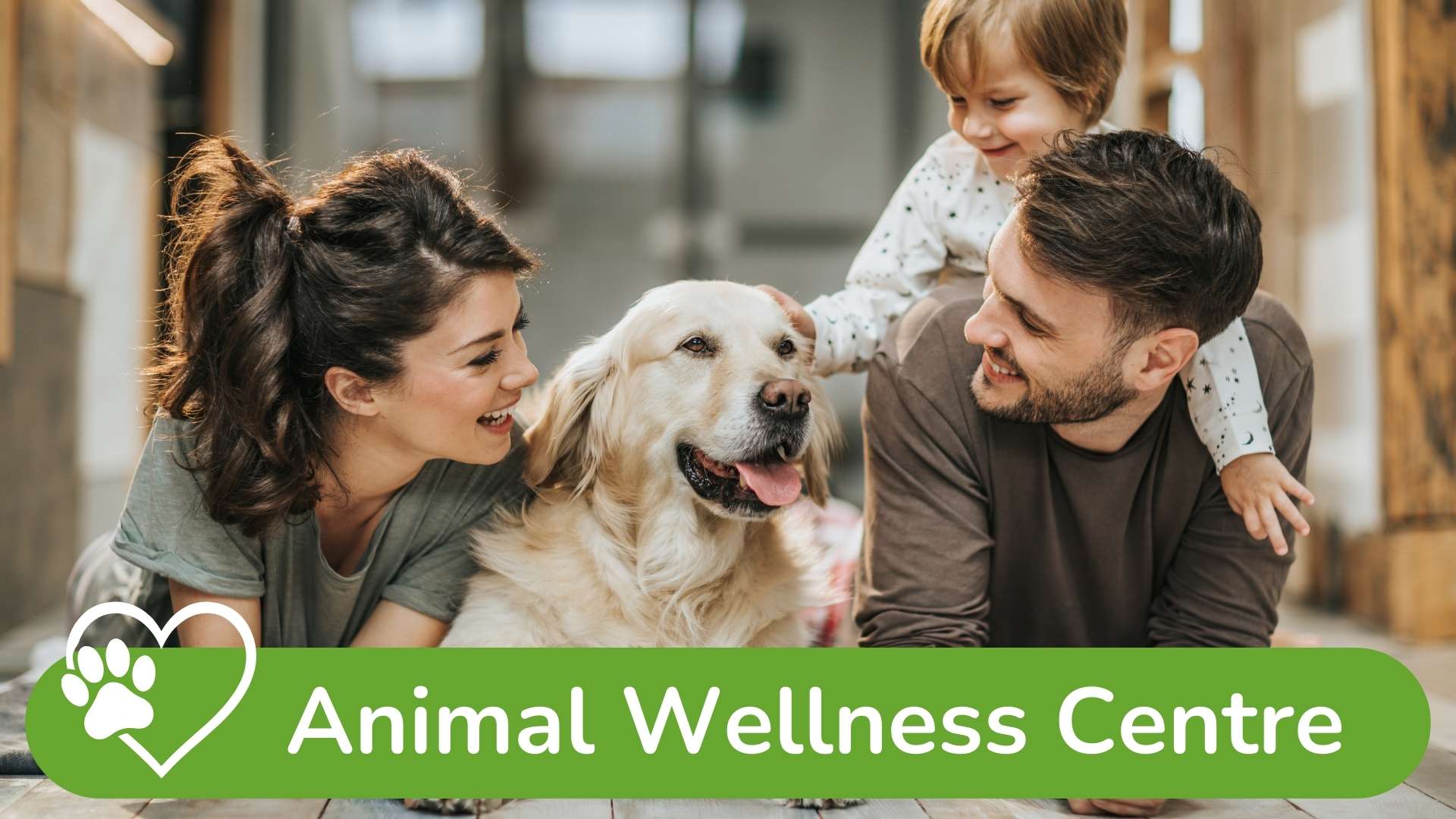 aqi animal wellness centre into img v2 Animal Qi - Animal Wellness Centre
