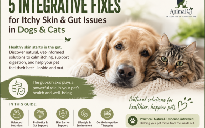 5 Integrative Fixes for Itchy Skin & Gut Issues in Dogs & Cats